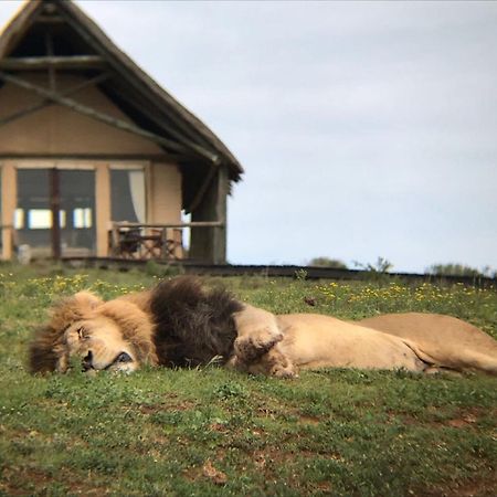 Gorah Elephant Camp Addo Exterior foto