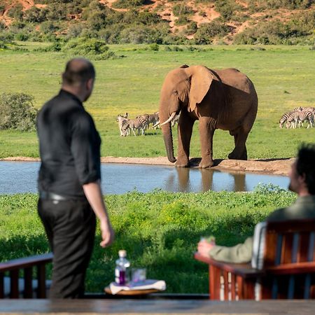 Gorah Elephant Camp Addo Exterior foto