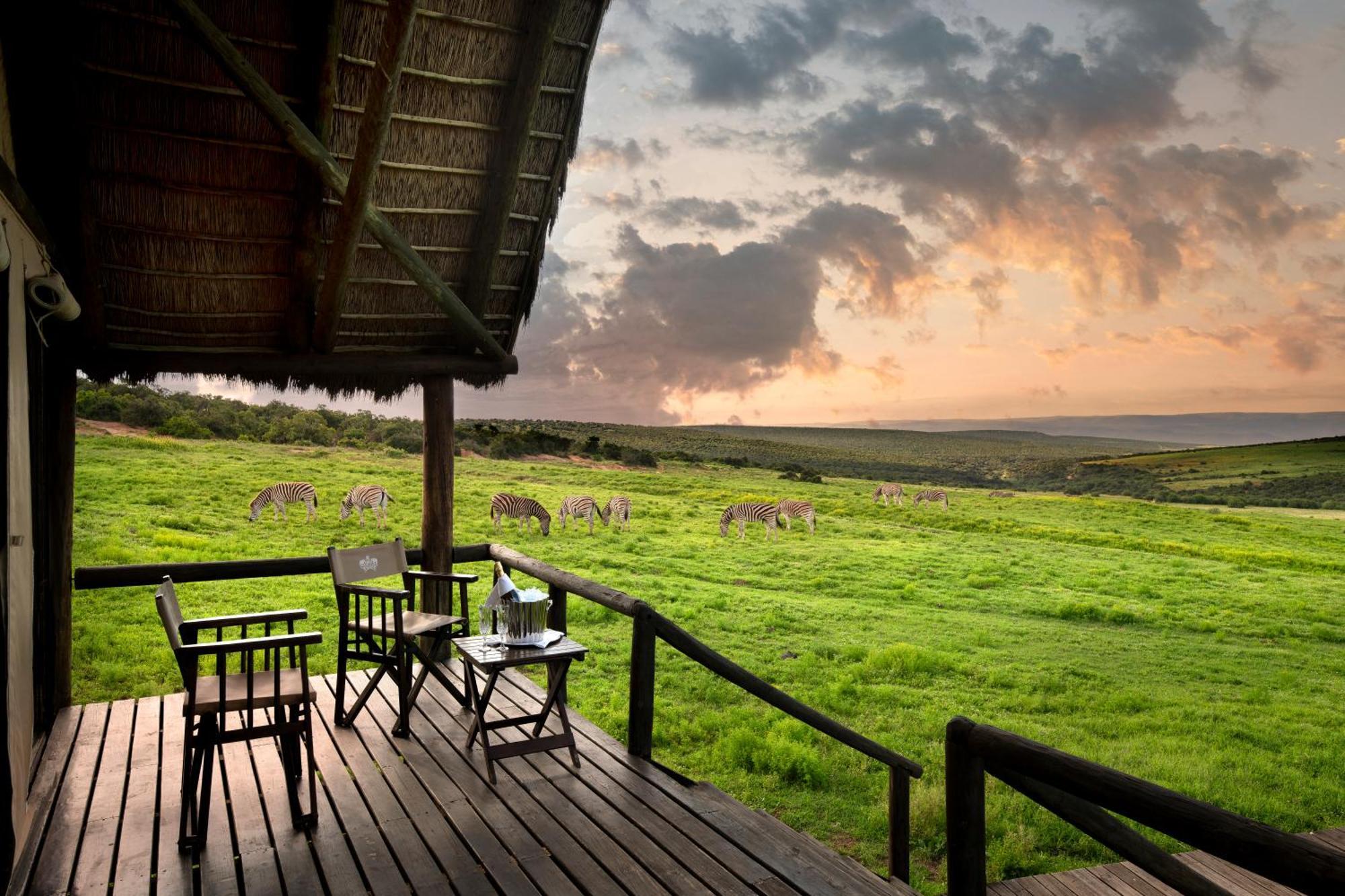 Gorah Elephant Camp Addo Exterior foto