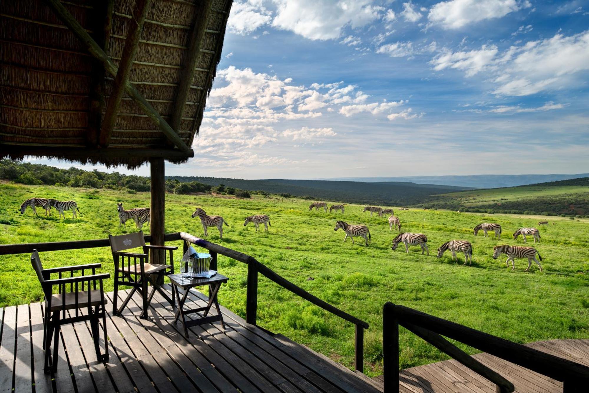 Gorah Elephant Camp Addo Exterior foto