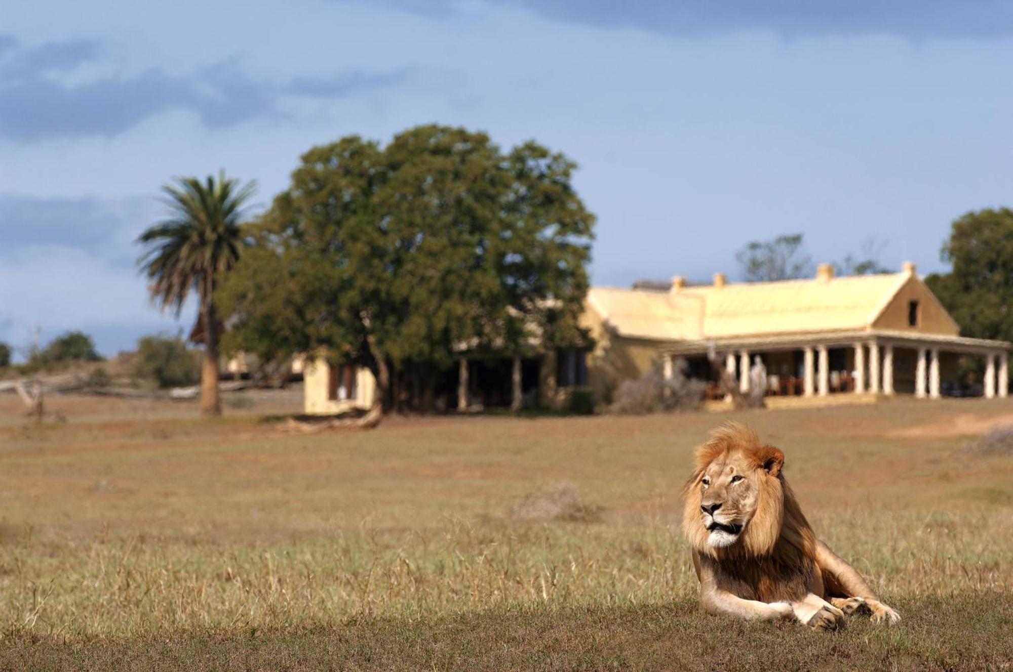 Gorah Elephant Camp Addo Exterior foto