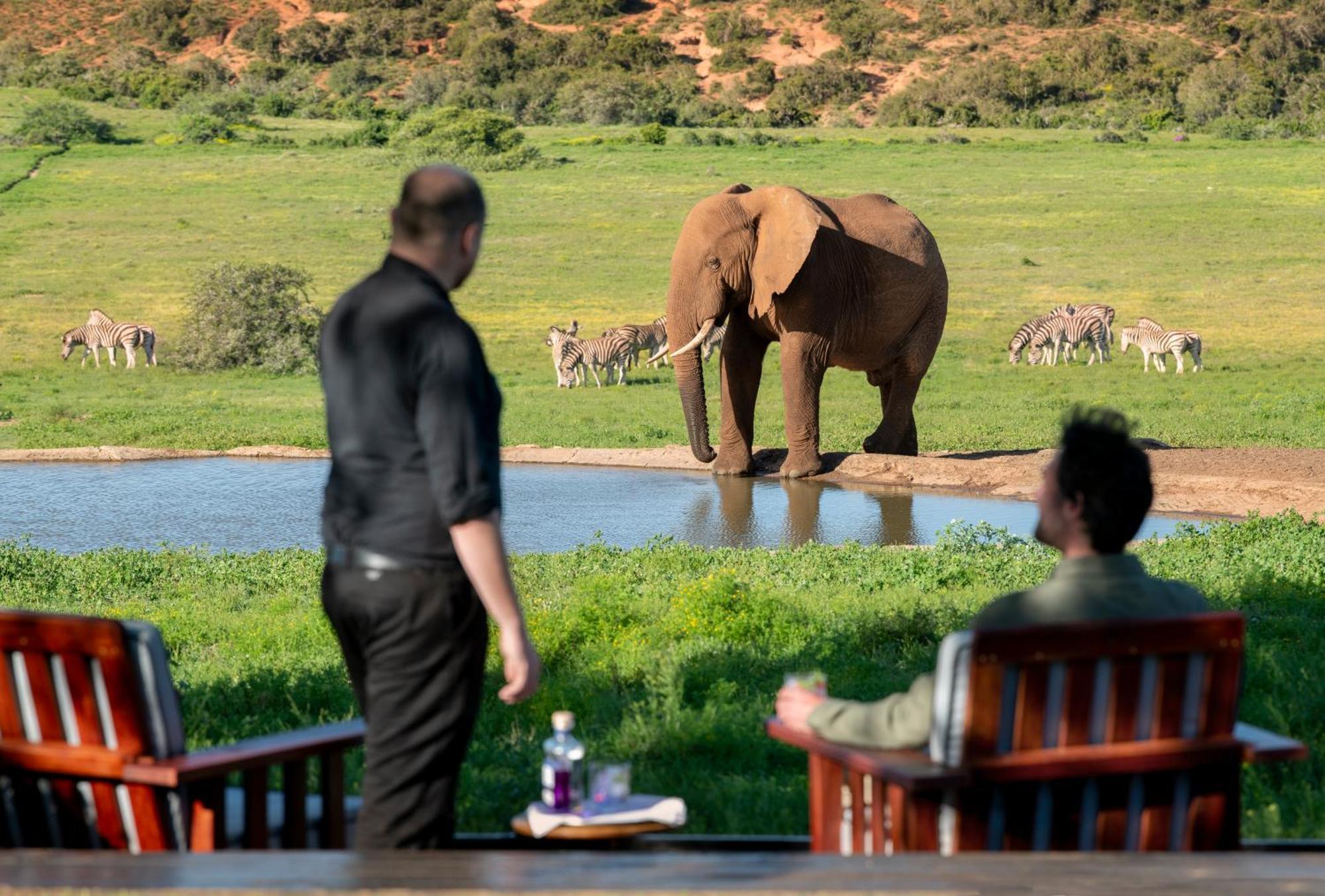 Gorah Elephant Camp Addo Exterior foto