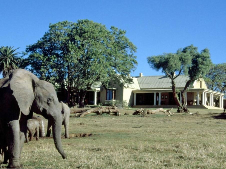 Gorah Elephant Camp Addo Exterior foto