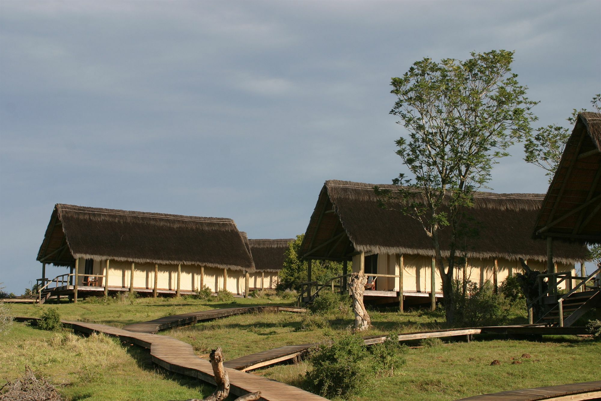 Gorah Elephant Camp Addo Exterior foto